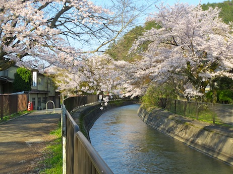 biwako15.JPG