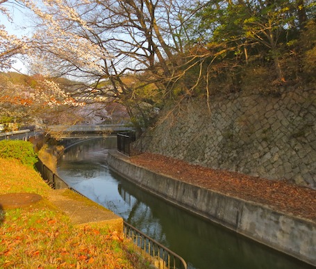 biwako24.JPG