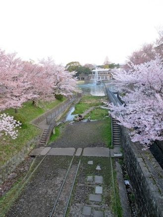 biwako35.jpg